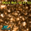 OGLE BUL-SC37  53500