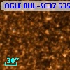 OGLE BUL-SC37  53520