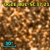 OGLE BUL-SC37 213552