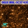 OGLE BUL-SC37  63526