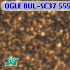 OGLE BUL-SC37 555784