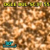 OGLE BUL-SC37 555786