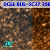 OGLE BUL-SC37 390971