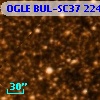 OGLE BUL-SC37 224197