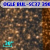 OGLE BUL-SC37 390991
