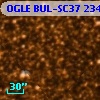 OGLE BUL-SC37 234303