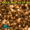 OGLE BUL-SC37 401043