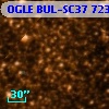 OGLE BUL-SC37  72395