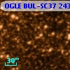 OGLE BUL-SC37 243206