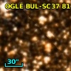 OGLE BUL-SC37  81163