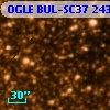 OGLE BUL-SC37 243283
