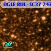 OGLE BUL-SC37 243296