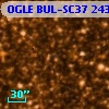 OGLE BUL-SC37 243200