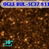 OGLE BUL-SC37  81141