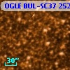 OGLE BUL-SC37 252910