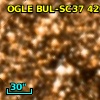 OGLE BUL-SC37 420032