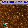 OGLE BUL-SC37 100631