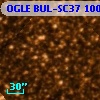 OGLE BUL-SC37 100462