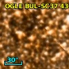 OGLE BUL-SC37 430842