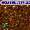 OGLE BUL-SC37 100566