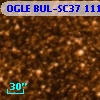 OGLE BUL-SC37 111470
