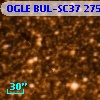 OGLE BUL-SC37 275728