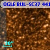 OGLE BUL-SC37 441785