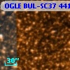 OGLE BUL-SC37 441738