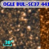 OGLE BUL-SC37 441743