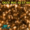 OGLE BUL-SC37 441753