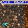 OGLE BUL-SC37 441754