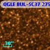 OGLE BUL-SC37 275818