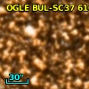 OGLE BUL-SC37 610963