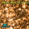 OGLE BUL-SC37 610619