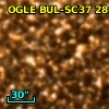 OGLE BUL-SC37 286146