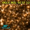 OGLE BUL-SC37 123072