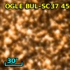 OGLE BUL-SC37 451568