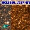 OGLE BUL-SC37 451694