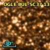OGLE BUL-SC37 133296