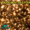 OGLE BUL-SC37 297133
