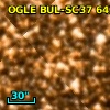 OGLE BUL-SC37 643307