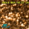 OGLE BUL-SC37 143591