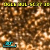 OGLE BUL-SC37 308969