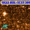 OGLE BUL-SC37 308729