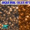 OGLE BUL-SC37 473494