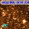 OGLE BUL-SC37 320352
