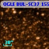 OGLE BUL-SC37 155588