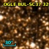 OGLE BUL-SC37 320385