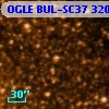OGLE BUL-SC37 320467