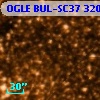 OGLE BUL-SC37 320468